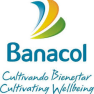 Logo banacol