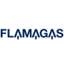 Logo flamagas